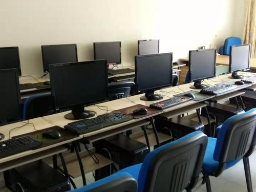 以质量立足，凭技术致胜——探析深圳福田车公庙办公文秘与计算机应用培训的价值