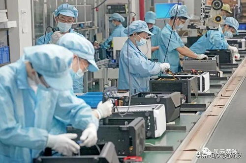 逆势上扬 黄陂传统行业转型，软件开发助力企业跃居全球第一